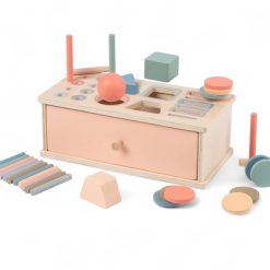 Shape & Color Sorter Box
