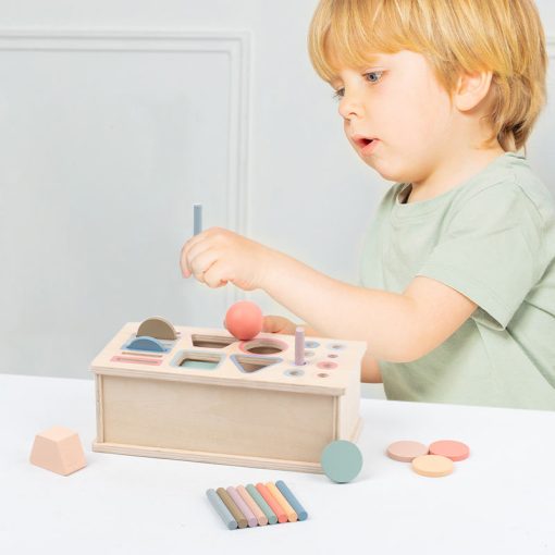 Shape & Color Sorter Box – Smart Montessori Learning Toy - Image 2