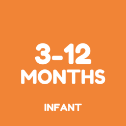3 - 12 Months