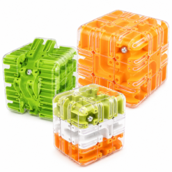 Brain Development Maze Cube